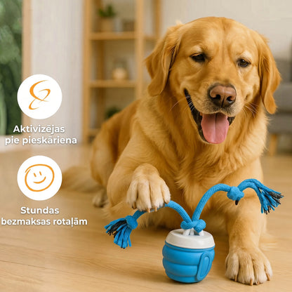 SVOZK® IZKLAIDE UN KUSTĪBA – PAT KAD JŪS ESAT PROM!