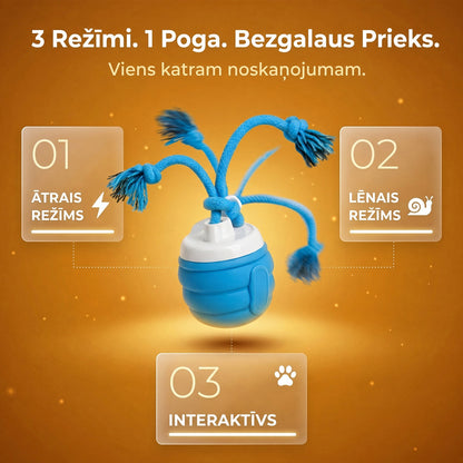 SVOZK® IZKLAIDE UN KUSTĪBA – PAT KAD JŪS ESAT PROM!