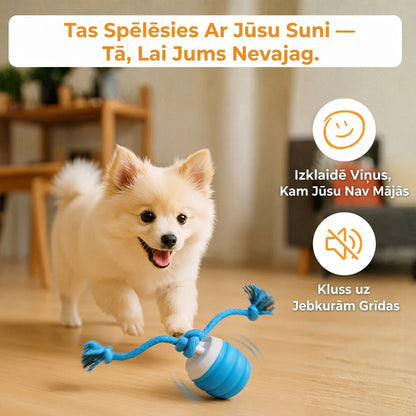 SVOZK® IZKLAIDE UN KUSTĪBA – PAT KAD JŪS ESAT PROM!