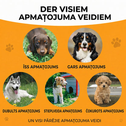 SVOZK® Suņu suka